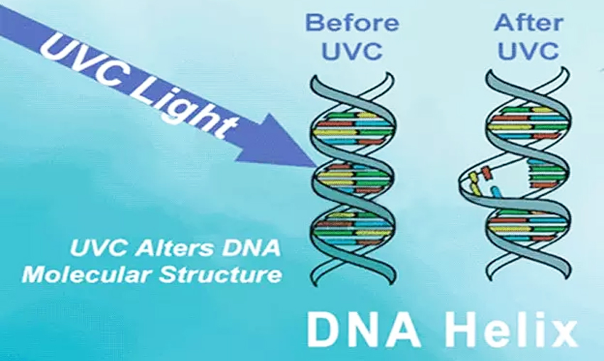 Рабочая теория очистка света OFUV