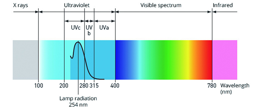 Принцип стерилизации стерилизации Amanda Ultra Violet