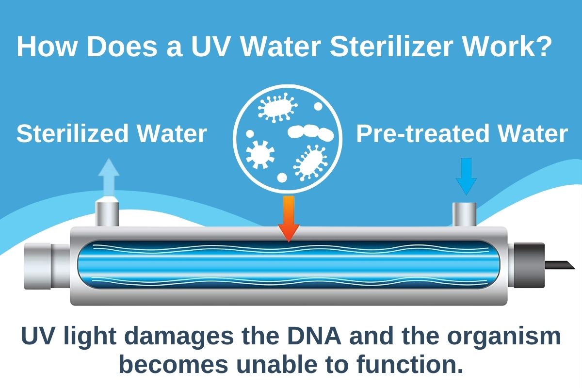 Как работают стерилизаторы UV