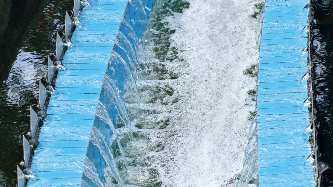 чистая вода